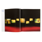 Isaac Julien exhibition book (hardback)